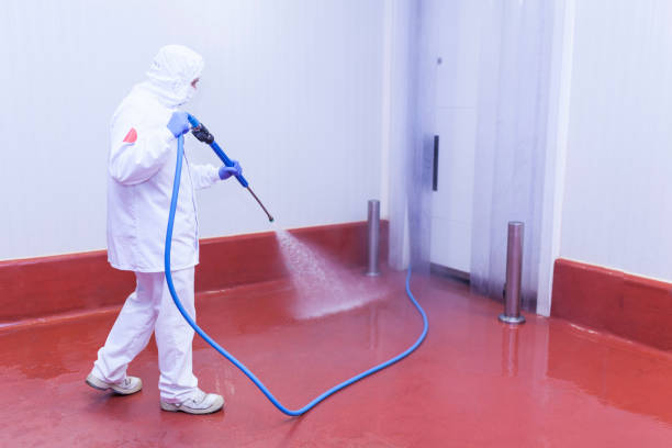 Best Sidewalk and Walkway Cleaning  in Pelican Bay, FL